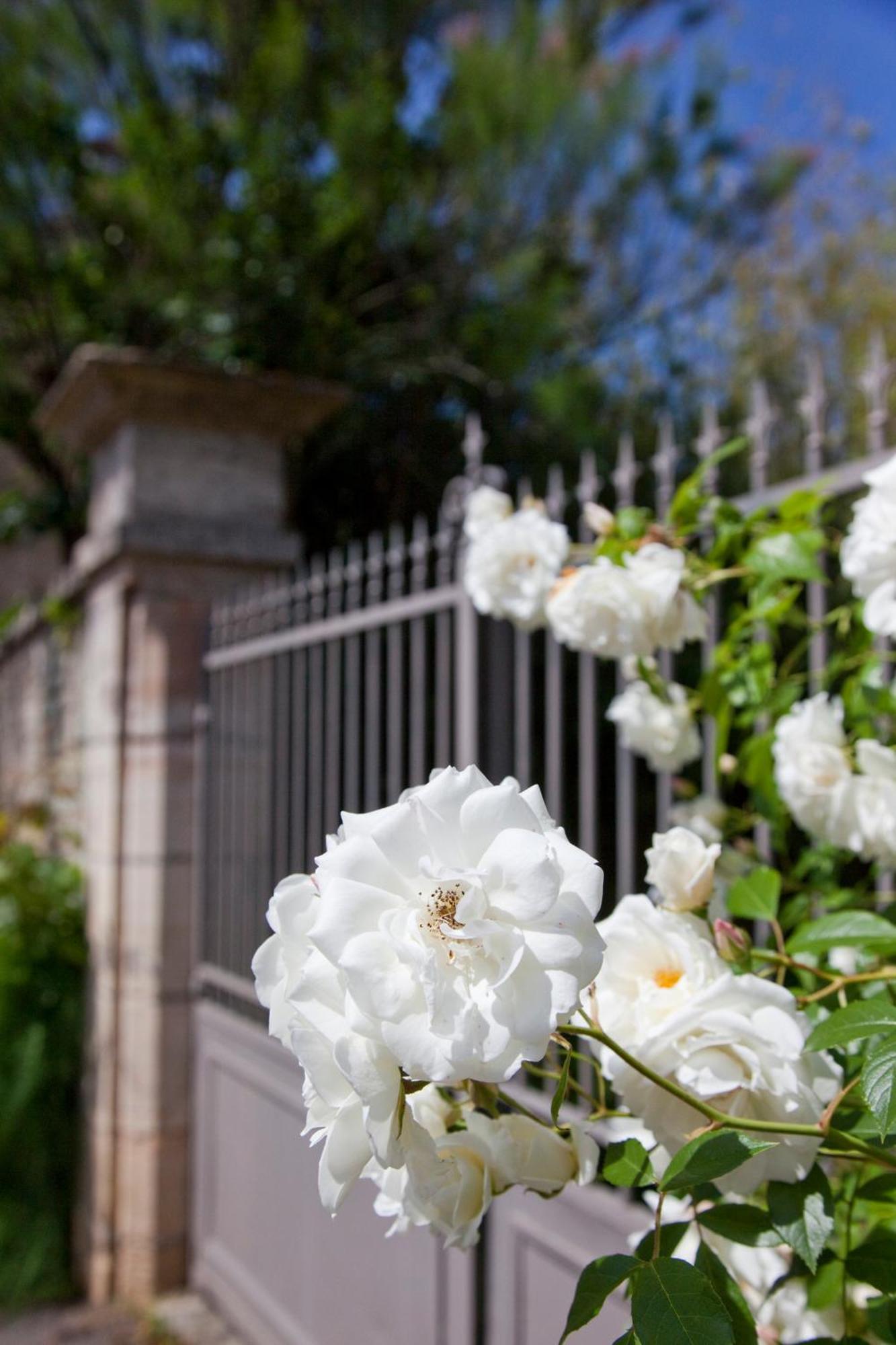Villa Louise Aloxe-Corton Exterior foto